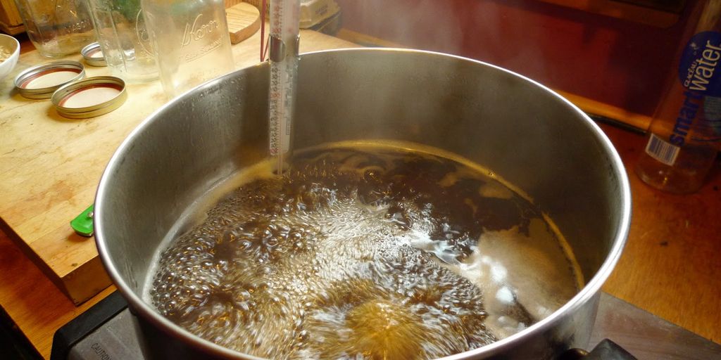 maple syrup production in forest
